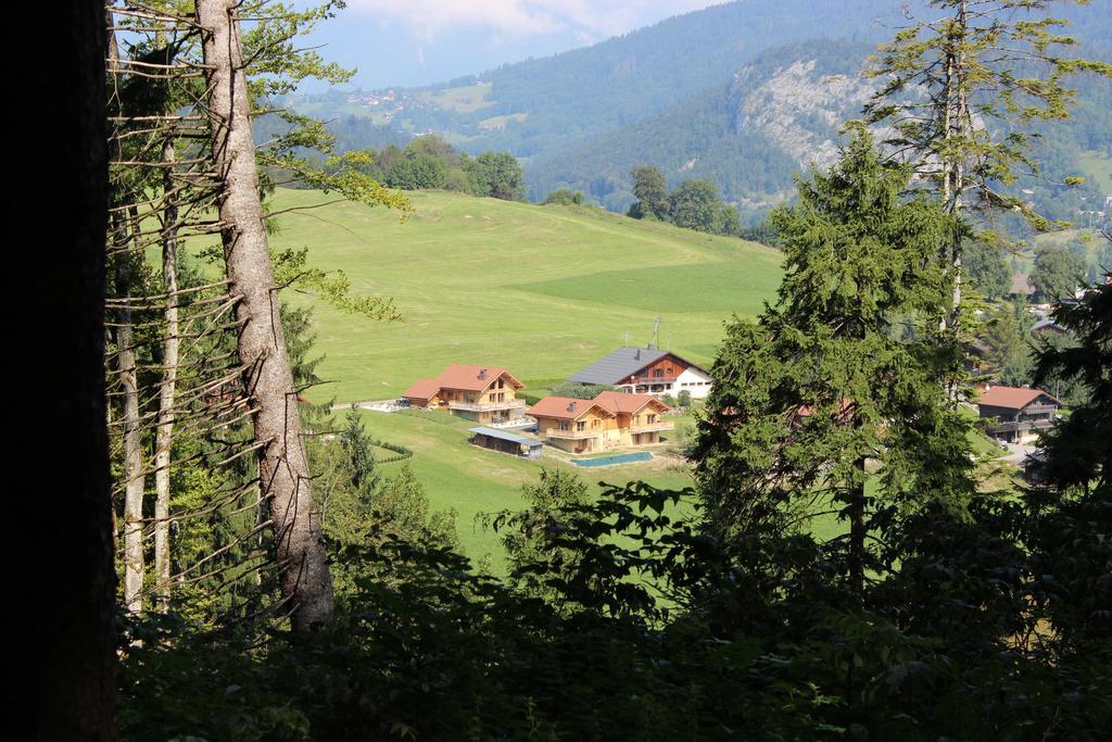 Le Chalet D'Ulysse Araches-la-Frasse 외부 사진
