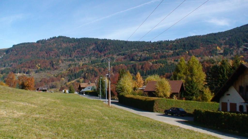 Le Chalet D'Ulysse Araches-la-Frasse 외부 사진
