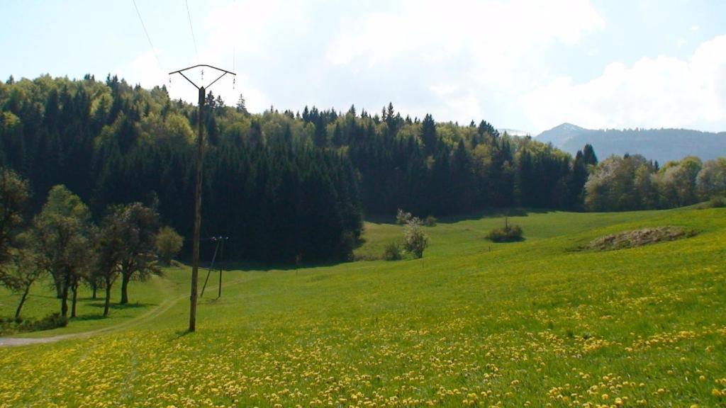 Le Chalet D'Ulysse Araches-la-Frasse 외부 사진