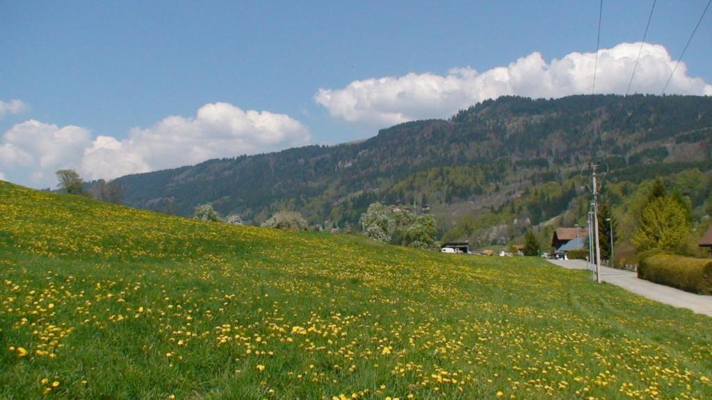 Le Chalet D'Ulysse Araches-la-Frasse 외부 사진